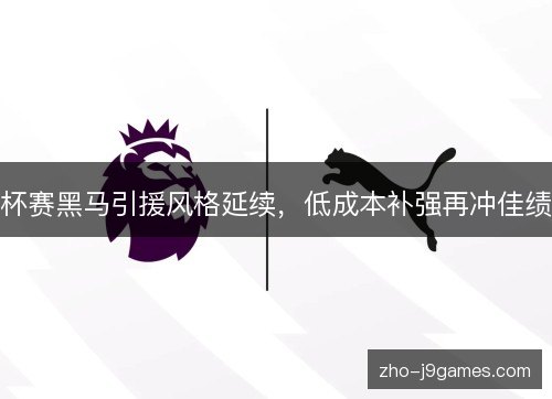 杯赛黑马引援风格延续，低成本补强再冲佳绩